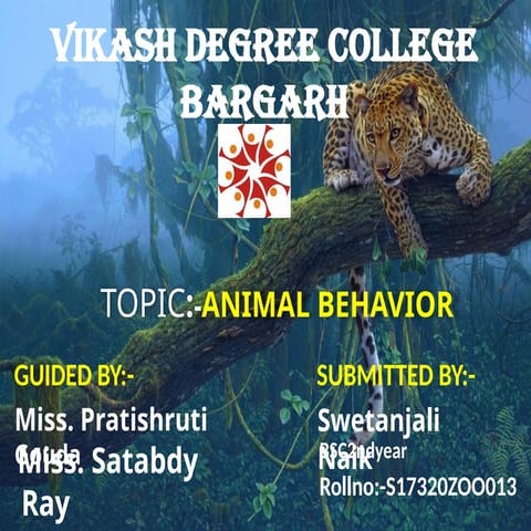 Basics information regarding animal behaviour