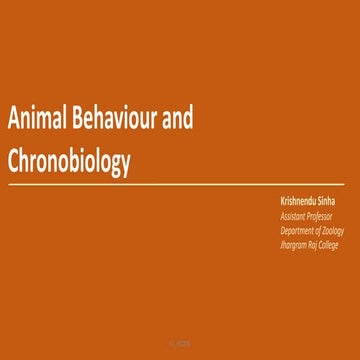 Animal behaviour and chronobiology