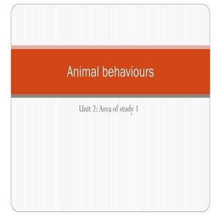 Animal Behaviours