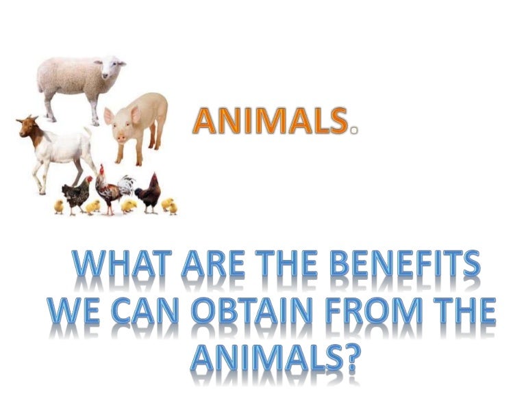 Animal benefits