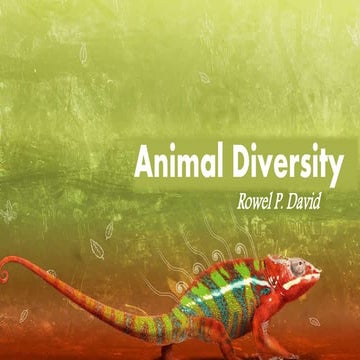 Animal biodiversity