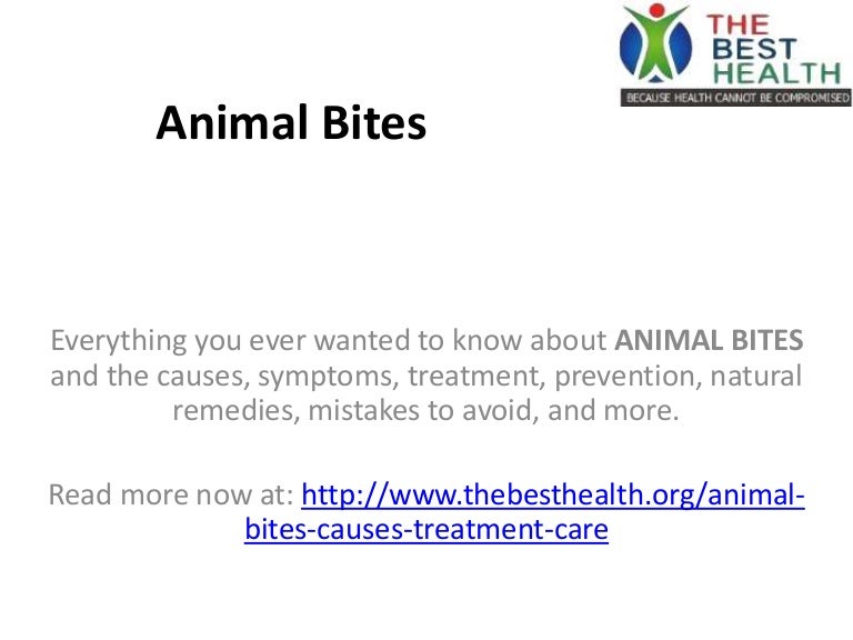 Animal Bites Causes Symptoms Treatment