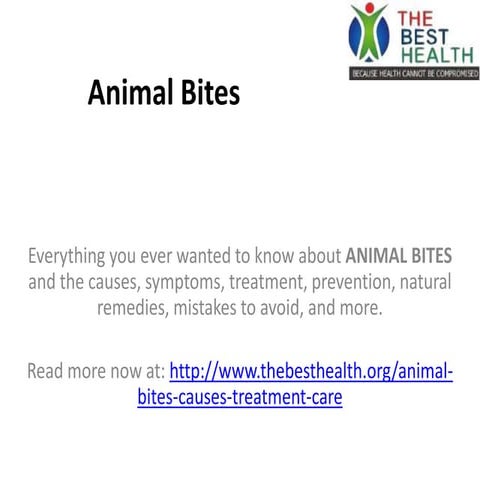 Animal Bites Causes Symptoms Treatment