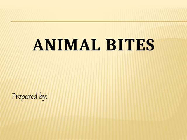 Animal Bite Pdf