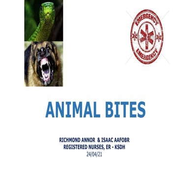 ANIMAL BITES PRESENTATION 2024 by P.pptx