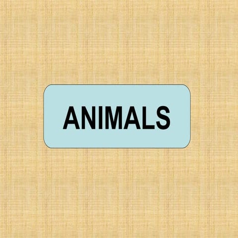 Animal body parts