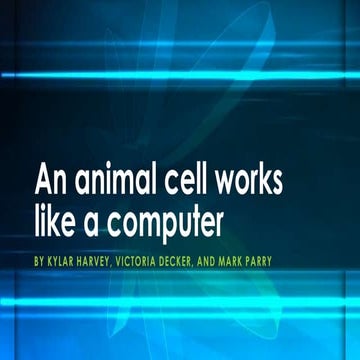Animal Cell Analogy | PPTX
