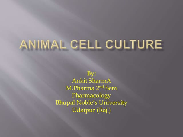 Animal cell culture & its technique & cyropreservation: A review