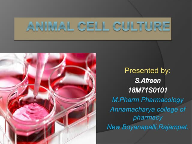 Animal Cell Culture: Growth of animal cells in culture. PHARMACEUTICAL ...