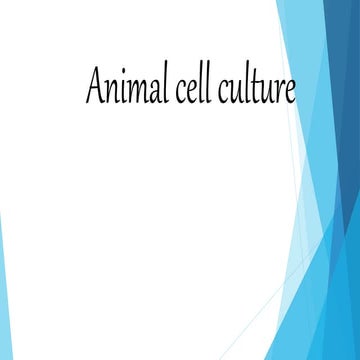 Animal cell culture