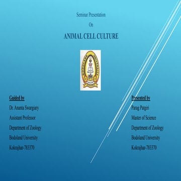 Animal Cell Culture.pptx
