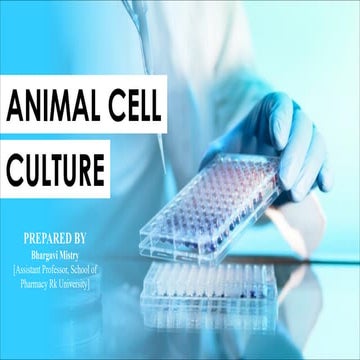 Animal Cell Culture.pdf