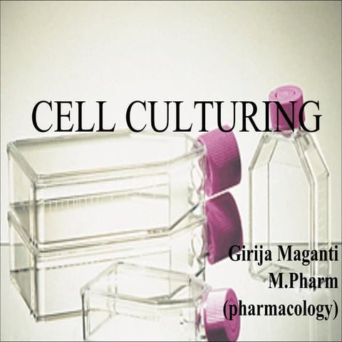 Animal cell lines culturing