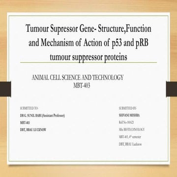 Tumour suppressor genes | PPT