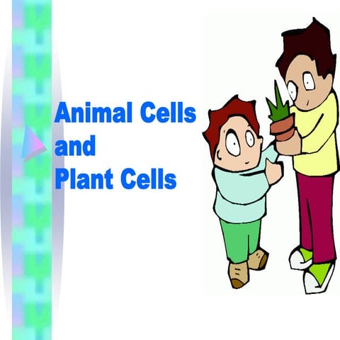 Animalcellsandplantcells