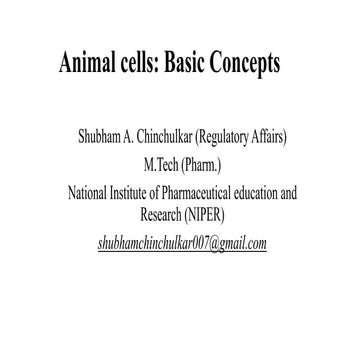 Animal cells basic concepts