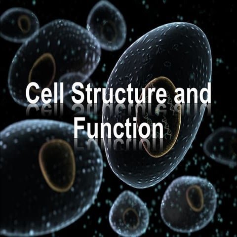 Animal cell structure_and_function_(teacher)