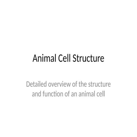 Comprehensive Guide to Animal Cell Structure and Functions | PPTX
