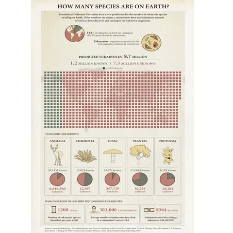 Animal classification