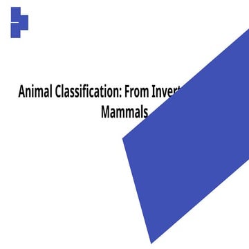 Animal Classification.pptxdaaaaaaaaaaaaaaaaaaaaaaaaaaaaaa