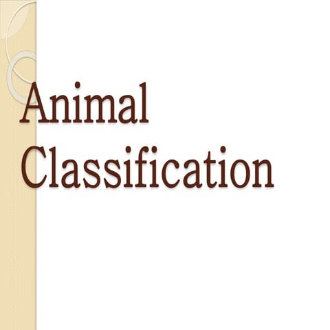 Animal Classification (Grade 5)