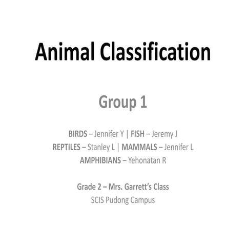Animal Classification Group 1