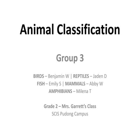 Animal Classification Group 3