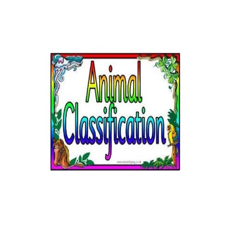 Animal classification powerpoint