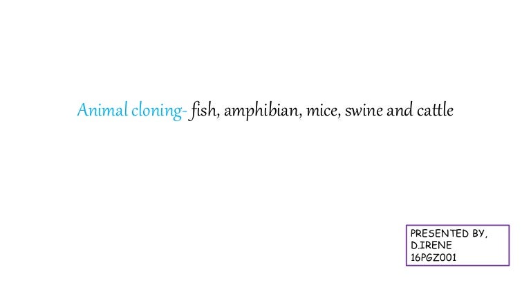 Animal cloning