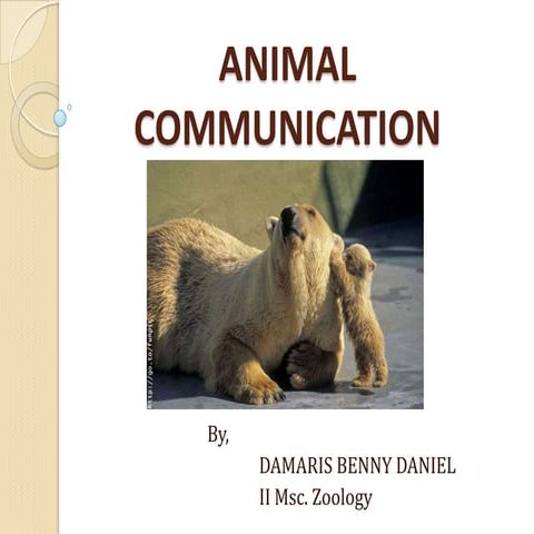 Various ways of animal communication and types