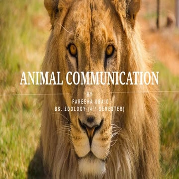 animal communication.pptx animal behavior bs zoology