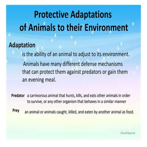 Animal defenssive adaptation