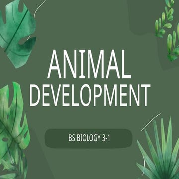 "From Cell to Organism: An Exploration of Animal Development"