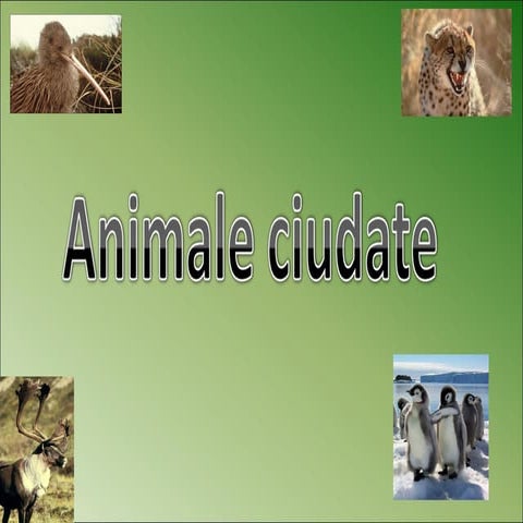 Animaleciudate1traian