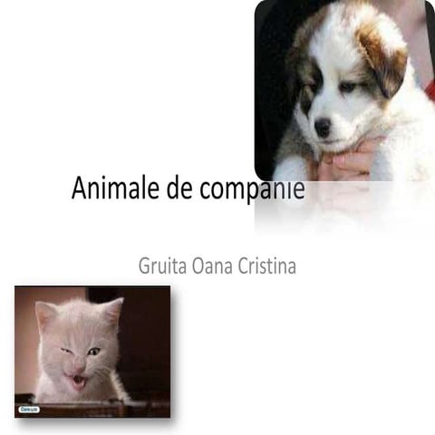 Animale de companie