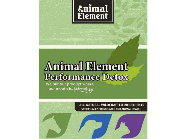 Animal Element Presentation