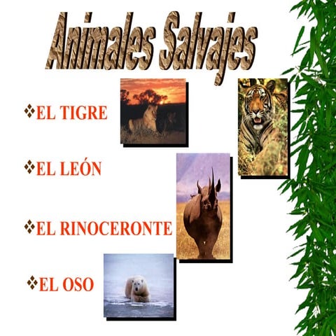 Animales salvajes