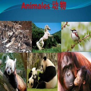 Animales en chino