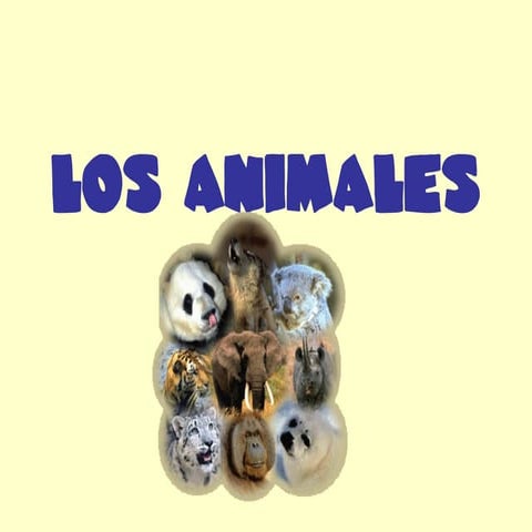 Animales