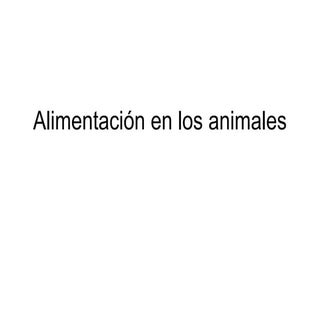 Animales