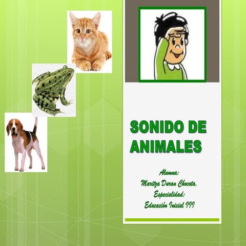 Animales