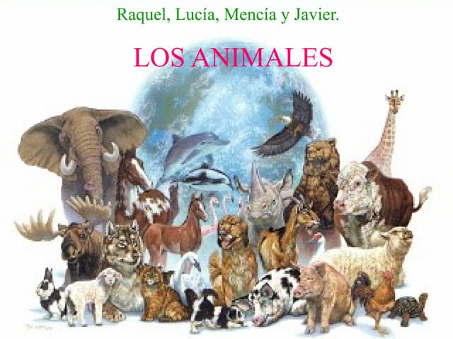 Animales