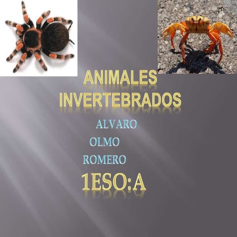 Animales