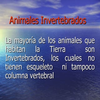 Animales Invertebrados 5