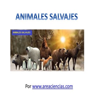 Animales Salvajes