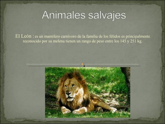 Sassssssss | PPT