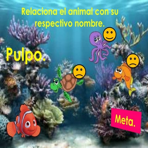 Aprendiendo con los animales acuaticos