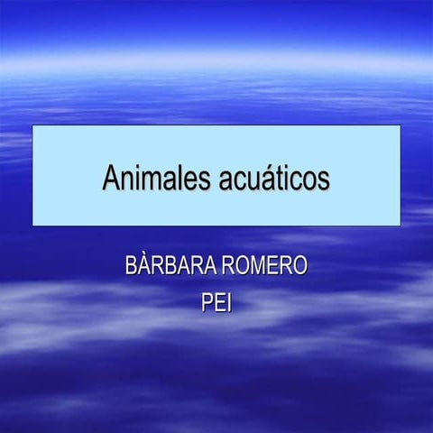 Caracteristicas de animales acuaticos