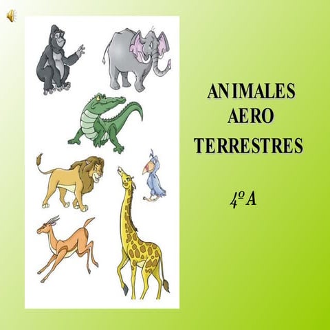 Animales Aero Terrestres 4º A   - B