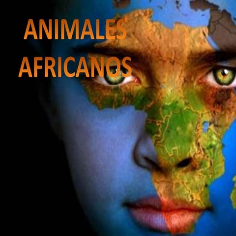 Animales    africanos